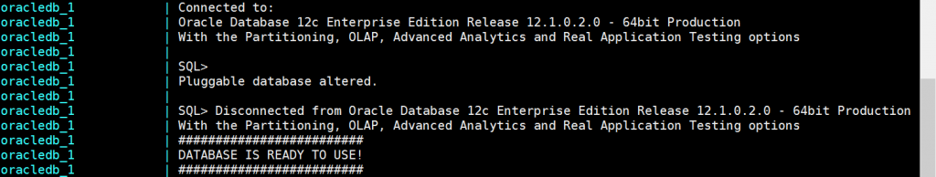 Once the DB is ready to accept connection the "DATABASE IS READY TO USE!" message is visible in the logs.