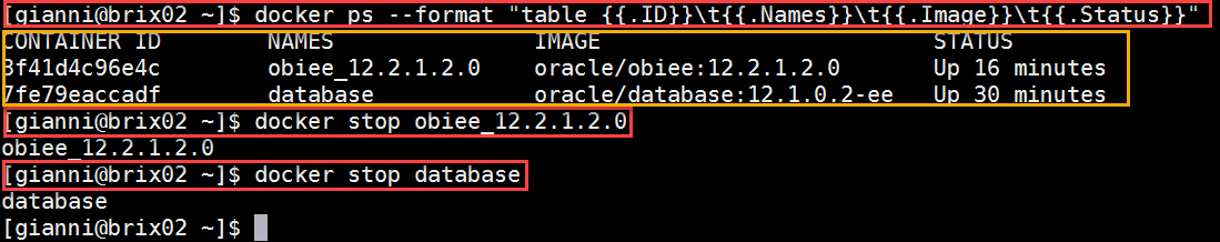 Docker OBIEE12c from scratch: check status of containers and stop OBIEE and database