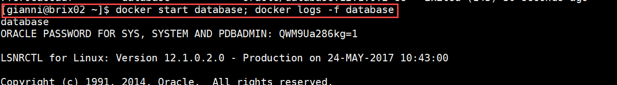 Docker OBIEE12c from scratch: restart database and check logs